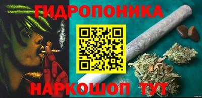 крисы Лесосибирск